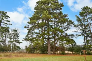7530 Fm 227 W, Grapeland, TX 75844 - Photo 31