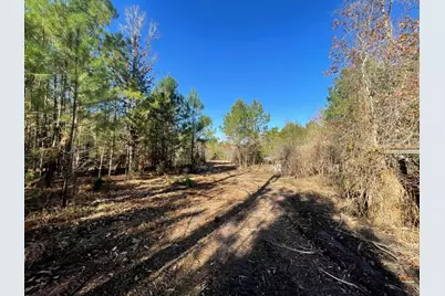 Lot 5 E Fm 942, Camden, TX 75934 - Photo 19