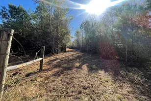 Lot 5 E Fm 942, Camden, TX 75934 - Photo 1