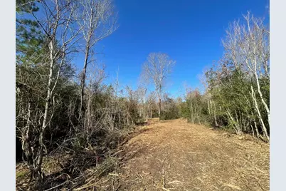 Lot 5 E Fm 942, Camden, TX 75934 - Photo 15