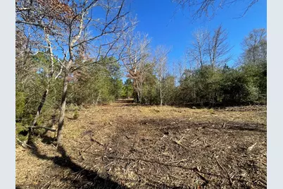 Lot 5 E Fm 942, Camden, TX 75934 - Photo 13