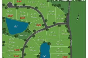 Lot 5 Sunflower, Chappell Hill, TX 77426 - Photo 1