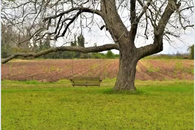 2223 County Road 107, Wharton, TX 77488 - Photo 9