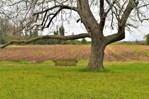 2223 Co Rd 107, Wharton, TX 77488 - Photo 9