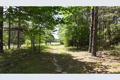 Tbd Lampasas Lane, Lovelady, TX 75851 - Photo 13