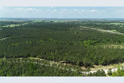 Tbd Lampasas Lane, Lovelady, TX 75851 - Photo 5