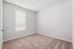 29010 Fig Vine Dr, Waller, TX 77484 - Photo 5