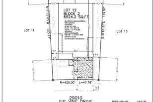 29010 Fig Vine Dr, Waller, TX 77484 - Photo 25