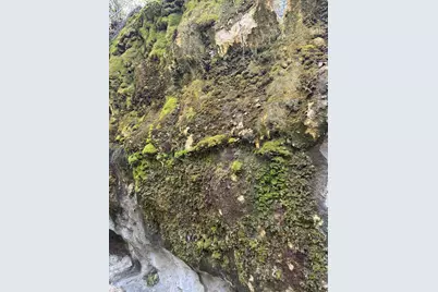 101 Twin Creek Road, Dripping Springs, TX 78620 - Photo 19