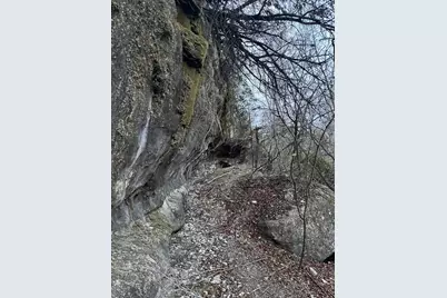 101 Twin Creek Road, Dripping Springs, TX 78620 - Photo 19