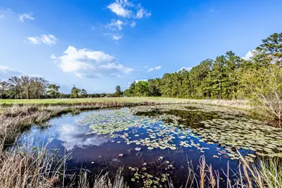 1587 County Road 1105, Crockett, TX 75835 - Photo 49