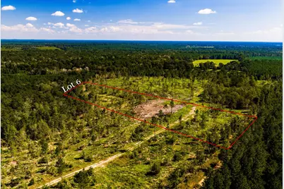 006 Buddy Lloyd Rd, Livingston, TX 77351 - Photo 1