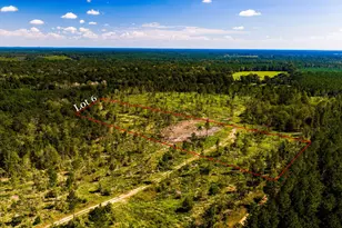 006 Buddy Lloyd Rd, Livingston, TX 77351 - Photo 1