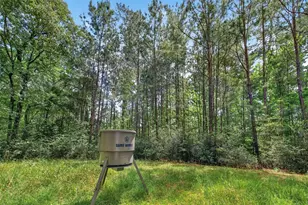 1905 Post Ridge Dr, Conroe, TX 77304 - Photo 47