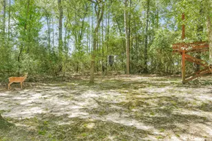 4046 Highland Pass, Montgomery, TX 77316 - Photo 5