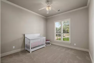 30 Waters Lake Boulevard, Missouri City, TX 77459 - Photo 29