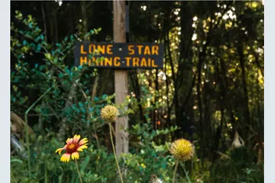 167 Winchester Road, Huntsville, TX 77340 - Photo 25