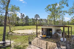 1164 County Rd 332, Cleveland, TX 77327 - Photo 15