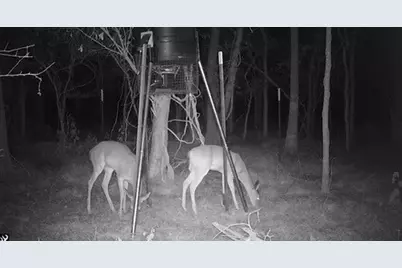 0 Bear Bottom, Wharton, TX 77488 - Photo 7