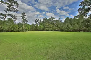 63 Driftoak Cir, The Woodlands, TX 77381 - Photo 49