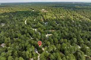 38 Cricket Hollow Pl, The Woodlands, TX 77381 - Photo 35