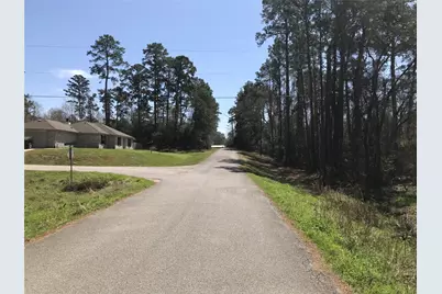 580 Parkview Drive, Onalaska, TX 77360 - Photo 3