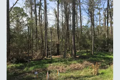 580 Parkview Drive, Onalaska, TX 77360 - Photo 5