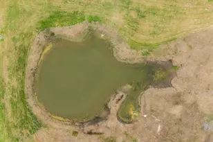 109 Winn Haven, Round Top, TX 78954 - Photo 1