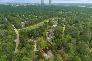 4 Coralvine Ct, The Woodlands, TX 77380 - Photo 47