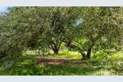 5515 Patterson Road, Manvel, TX 77578 - Photo 11