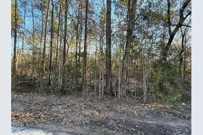 0 Cr 308, Cleveland, TX 77327 - Photo 3