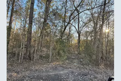 0 Cr 308, Cleveland, TX 77327 - Photo 5