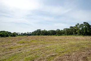 15953 1st St, Splendora, TX 77372 - Photo 21