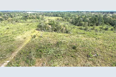 7749 Cr 4200, Pennington, TX 75856 - Photo 13
