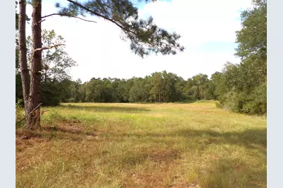 7749 Cr 4200, Pennington, TX 75856 - Photo 7