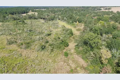 7749 Cr 4200, Pennington, TX 75856 - Photo 17