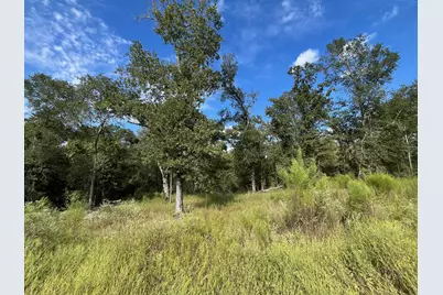 7749 Cr 4200, Pennington, TX 75856 - Photo 31
