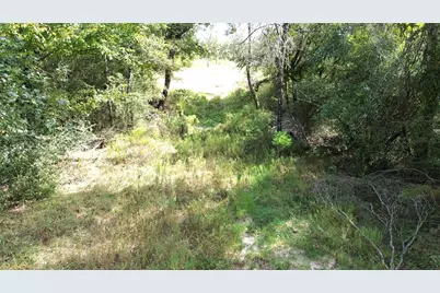 7749 Cr 4200, Pennington, TX 75856 - Photo 19