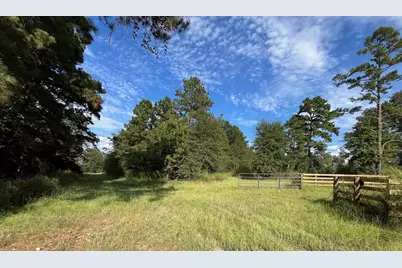7749 Cr 4200, Pennington, TX 75856 - Photo 37