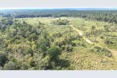 7749 Cr 4200, Pennington, TX 75856 - Photo 11