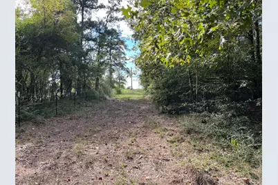 7749 Cr 4200, Pennington, TX 75856 - Photo 29