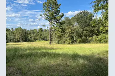 7749 Cr 4200, Pennington, TX 75856 - Photo 25