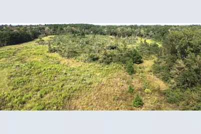 7749 Cr 4200, Pennington, TX 75856 - Photo 9