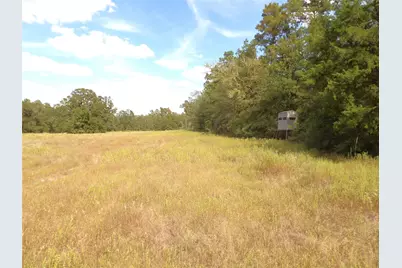 7749 Cr 4200, Pennington, TX 75856 - Photo 5
