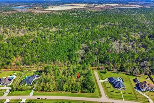 27560 S Lazy Meadow Way, Spring, TX 77386 - Photo 7