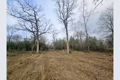 550 Robert Jones Road, Huntington, TX 75949 - Photo 7