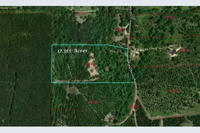 550 Robert Jones Road, Huntington, TX 75949 - Photo 19