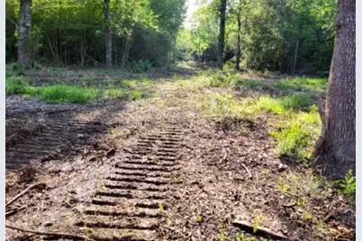 550 Robert Jones Road, Huntington, TX 75949 - Photo 13