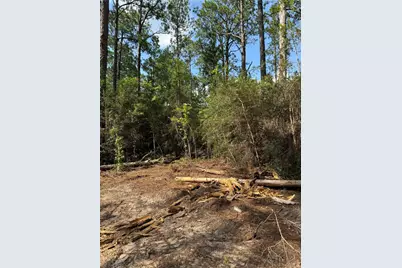 565 Sparkleberry Drive, Brookeland, TX 75931 - Photo 7