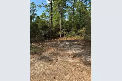 565 Sparkleberry Drive, Brookeland, TX 75931 - Photo 9